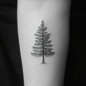 pine tree tattoo designs