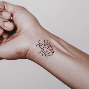 ladybug tattoo outline