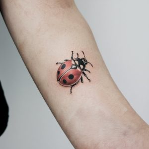 small ladybug tattoo