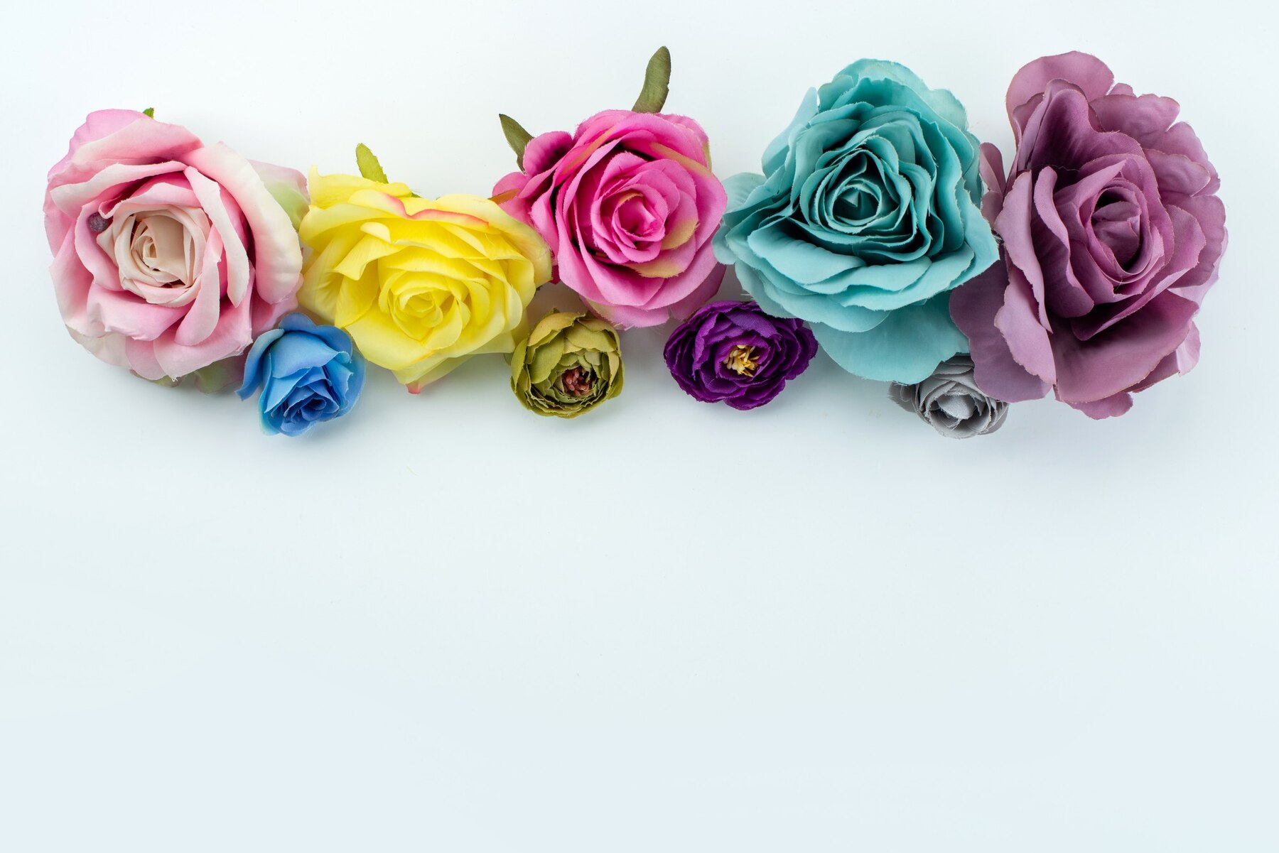 colorful-roses