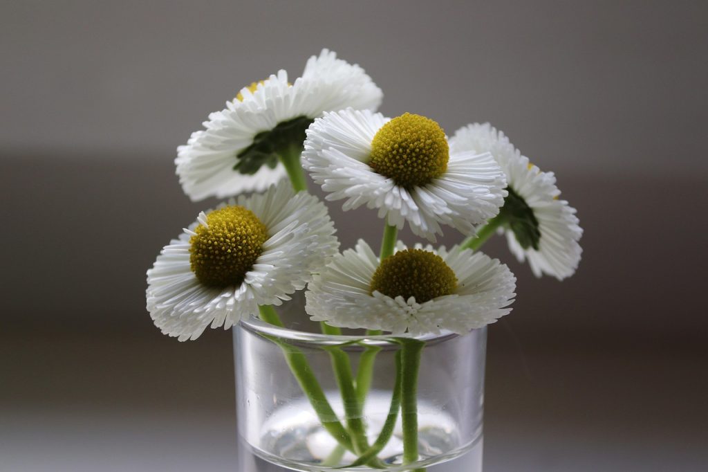 Choosing the Right Artist for Your Daisy Tattoo