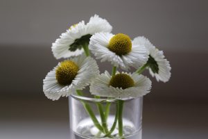 Daisy Tattoo Ideas: A Blooming Expression of Beauty