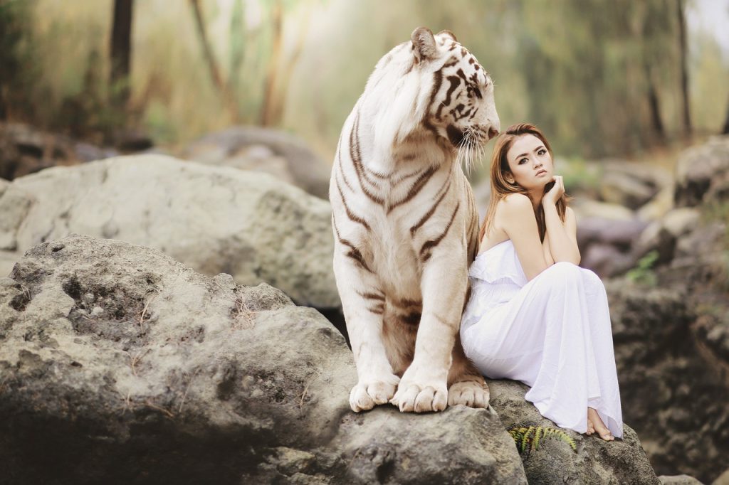 Tiger Tattoo Placement and Size