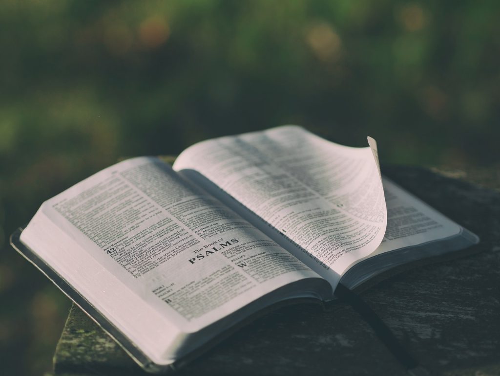 Finding the Perfect Bible Verse