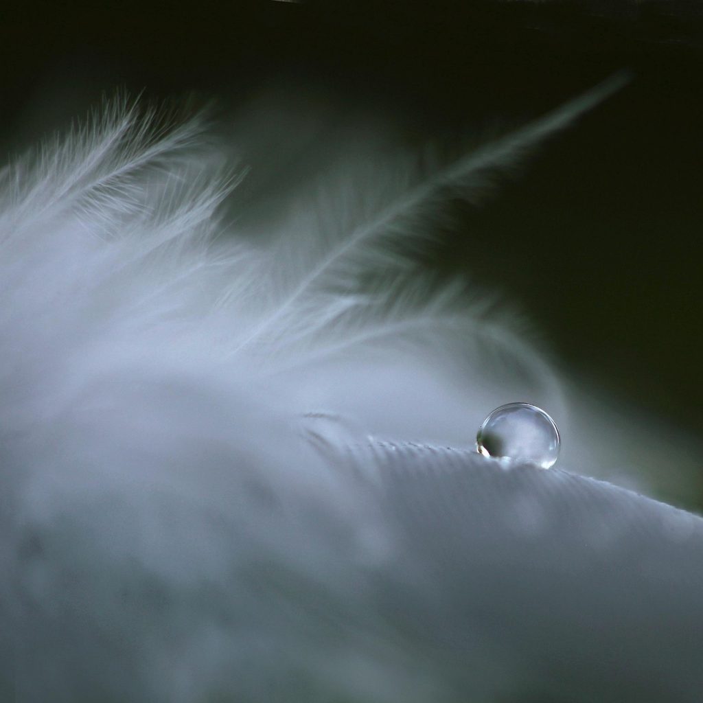 Care Tips and Considerations for Getting a Tear Drop Tattoo