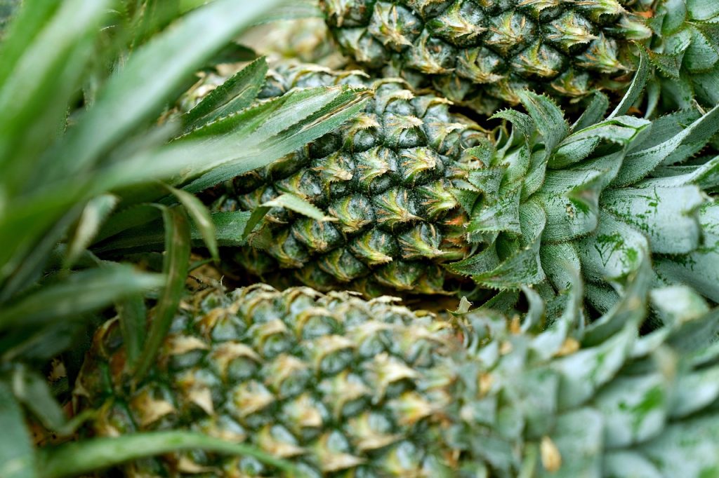 Pineapple Tattoo Designs and Variations