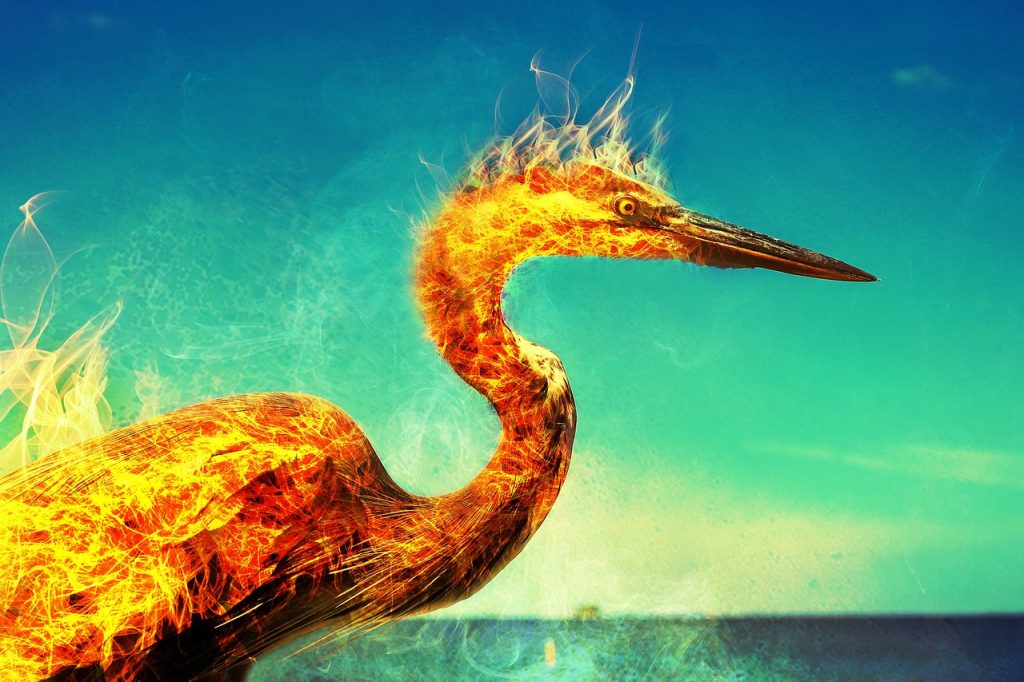 The Cultural Significance of Phoenix Tattoos