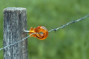 Barbed Wire Tattoo Meanings