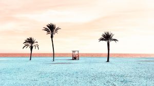 Beach Tattoo Meaning: Palm Tree
